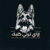 ازاي تربى كلبك - @walid.younes1 - TikTok