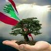 Walid Younes - @walid.younes6 - TikTok