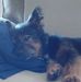Wanda Hooker - Facebook