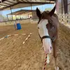 coleman.walker23 - @coleman.walker23 - TikTok