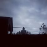 Walker - @walkercoleman - Instagram