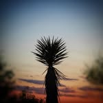 Walker Davis - @_walkerdavis - Instagram