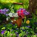 Ferguson Walker  - Facebook