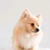 RodneyWalkerFoster - @rodneywalkerfoste - TikTok