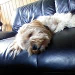 harrison walker - @walker.harrison - Instagram