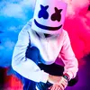 Alan walker Marshmello - @alan.walker.marsh - TikTok