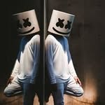 Marshmello Walker - @walker.marshmello - Instagram
