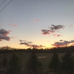 walker marshall - @walkermarshall45 - Instagram
