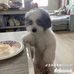 Walker Reynolds - Facebook