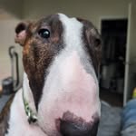 Walker Reynolds - @pandabrrrs - Instagram