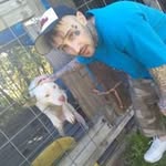 Walker Reynolds - @reynolds.walker - Instagram