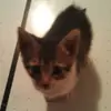 walkerreynolds15 - @walker.texas.rang6 - TikTok
