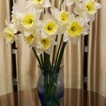 Karen Walker Rowe - @karen.rowe22 - Instagram