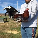 Walker Rowe - @earlybird_gamefarm - Instagram