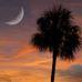 Walker Satterfield - Facebook