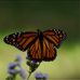 Walker Satterfield - Facebook