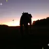 Walker2023 - @walkerstutzman - TikTok