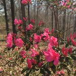 Donna Walker Simmons - @donnawalkersimmons - Instagram