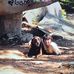 Walker Simpson - Facebook