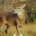 Walker Spruill - Facebook
