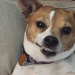 Professional Dissapointment - @_walker_stephens_ - Instagram