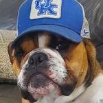 Walker Stephens - @walkerstephens1020 - Instagram