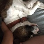 Walker stephens - @wal_kerstephens - Instagram
