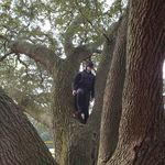 Walker Stewart - @walker_stewart_ - Instagram