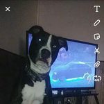 Walker - @walker.stewart.1 - Instagram