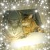 Mary Zdybel - Facebook