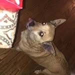 Walker ponchonjoe stockton - @walkerthemut01 - Instagram