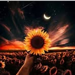 Susan Walker Stokes - Facebook