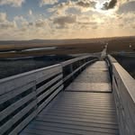 Deb Walker Sweeney - @debsweeney5 - Instagram