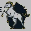 Walker Valley interviews - @walkervalley7 - TikTok