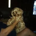 Tonia Walker Waters - @toniawaters - Instagram
