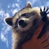 user6415271182151 - @walkerwatkins1 - TikTok