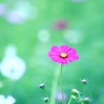 walker watson - @walkerwatson456677 - Instagram