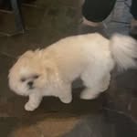 Walker Watson - @walki_talky1 - Instagram