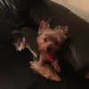 Joan Walker Wilkinson - @joanwalkerwilkins - TikTok