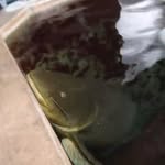 Walker-wilkins - @walkerwilkins123 - Instagram