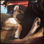 Shasta Morrow Walker-Wilson - @shastamorrow - Instagram