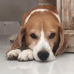Winansi Walker - @winansi_b - Instagram