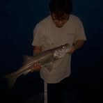 Walker Zimmerman - Facebook