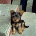 Wallace Abbott - Facebook