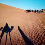 Wallace Adkins - @pipoxi3501 - Instagram