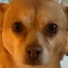 Wallace gongging - @wallace._.bacon420 - TikTok