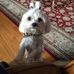Wallace Ballard - Facebook
