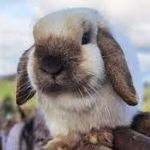 WallaceBarker828 - @wallacebarker828 - Instagram