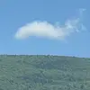 rob - @wallace.barnes - TikTok