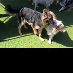 @wallacebarnettd - Instagram